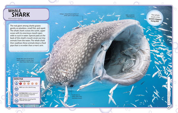 Бумажная книга «Sharks and Other Deadly Ocean Creatures. Visual Encyclopedia» - фото №1