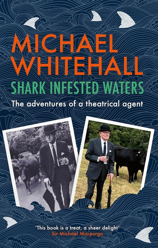Бумажная книга «Shark-Infested Waters», автор Майкл Уайтхолл - фото №1