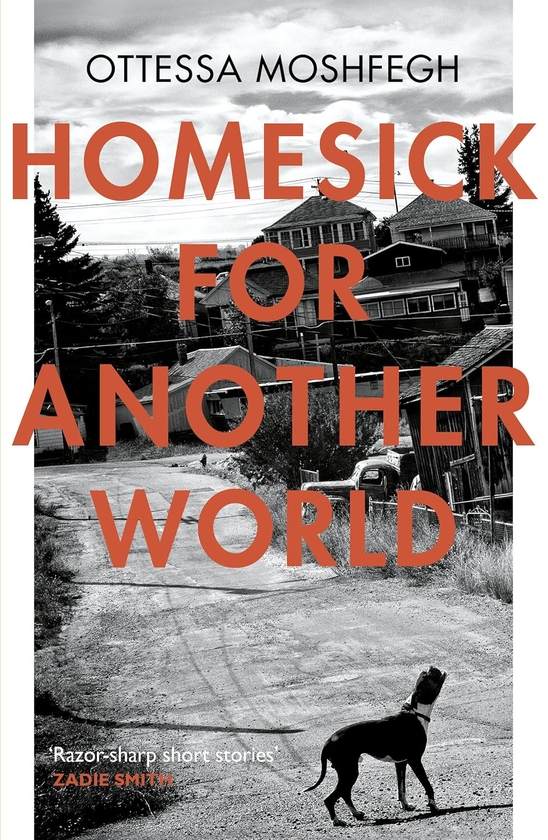 Бумажная книга «Homesick For Another World», автор Оттесса Мошфег - фото №1