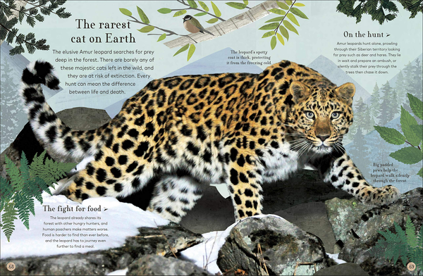 Паперова книга «Through the Animal Kingdom. Discover Amazing Animals and Their Remarkable Homes», автор Дерек Гарві - фото №1