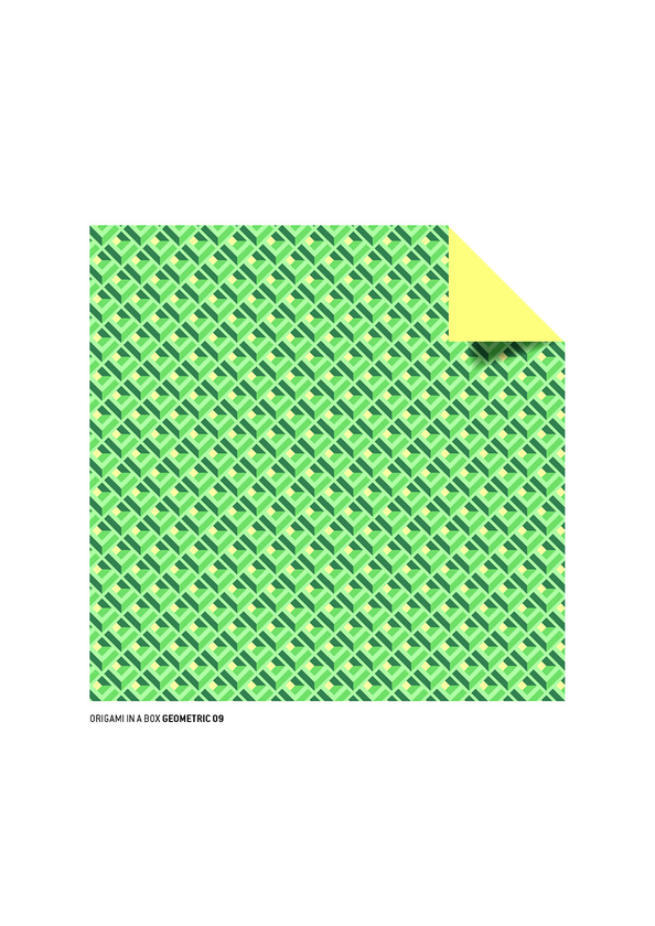 Бумажная книга «192 Origami Folding Papers in Geometric Patterns» - фото №1