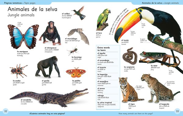 Бумажная книга «First Spanish Dictionary» - фото №1