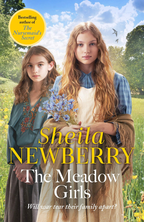 Бумажная книга «The Meadow Girls», автор Шейла Ньюберри - фото №1