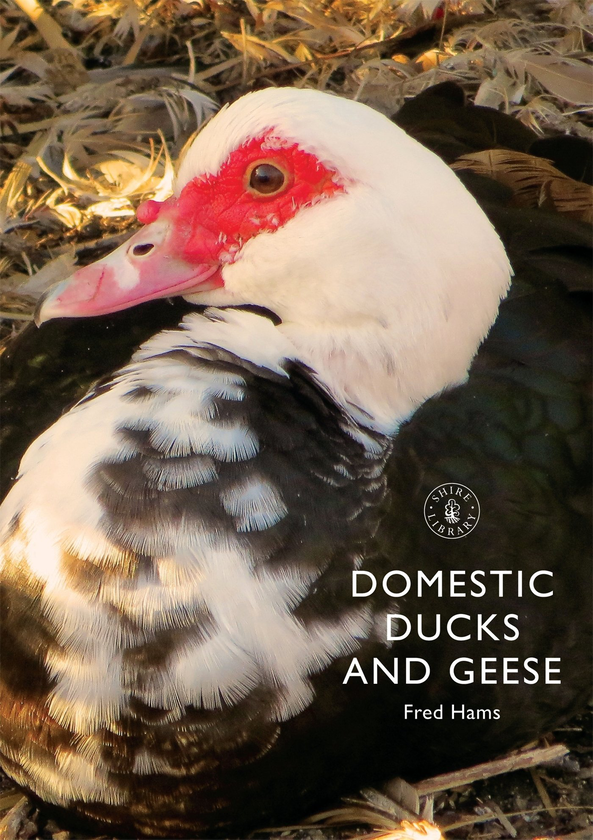 Бумажная книга «Domestic Ducks and Geese», автор Фред Хэмс - фото №1