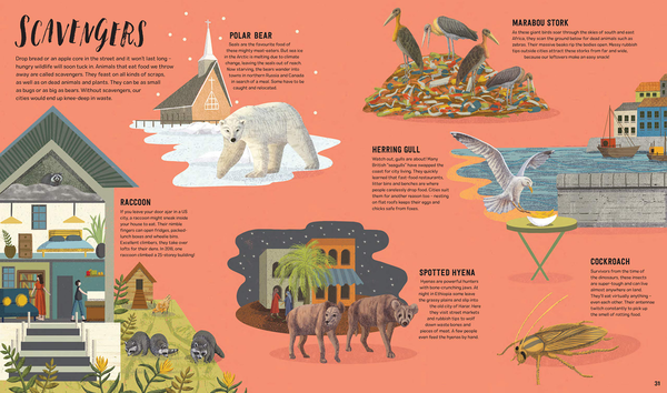 Бумажная книга «Wild City: Meet the animals who share our city spaces», автор Бен Хоар - фото №1