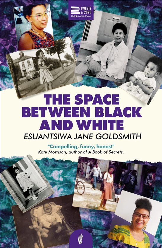 Бумажная книга «The Space Between Black and White», автор Эсуанцива Джейн Голдсмит - фото №1