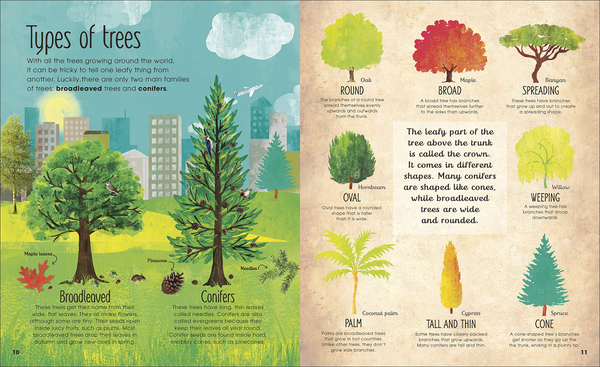 Бумажная книга «RHS The Magic and Mystery of Trees», автор Джен Грин - фото №1
