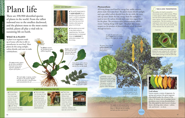 Бумажная книга «The New Children's Encyclopedia. Packed with Thousands of Facts, Stats, and Illustrations» - фото №1