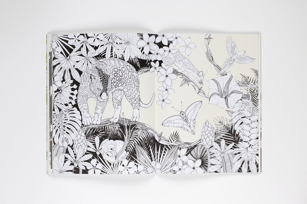Бумажная книга «Into the Wild. An Exotic Animal Colouring Book», автор Дейзи Флетчер - фото №1