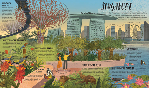Бумажная книга «Wild City: Meet the animals who share our city spaces», автор Бен Хоар - фото №1