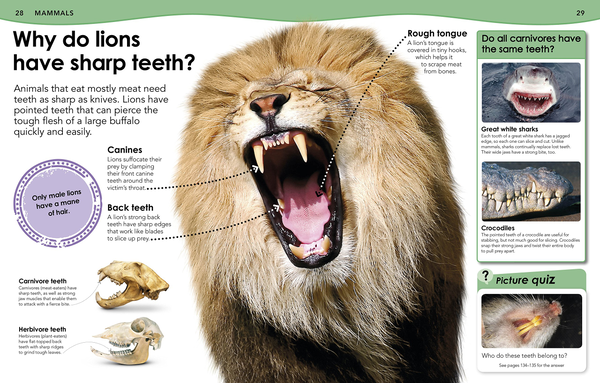 Бумажная книга «Do You Know About Animals? Brilliant Answers to more than 200 Amazing Questions!» - фото №1