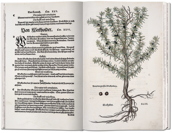 Бумажная книга «Leonhart Fuchs: The New Herbal of 1543», автор Вернер Дрессендорфен - фото №1