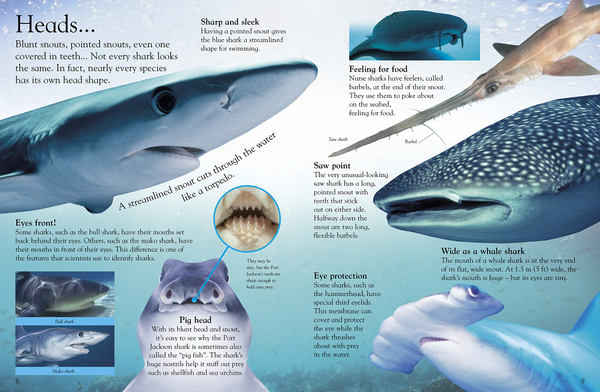Бумажная книга «Sharks» - фото №1