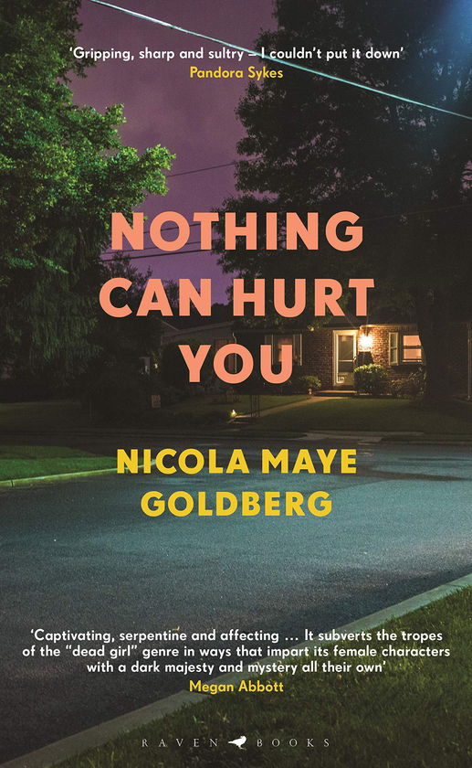 Бумажная книга «Nothing Can Hurt You», автор Никола Майе Голдберг - фото №1