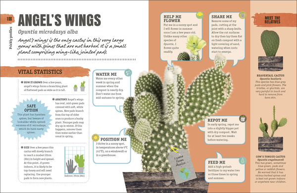 Бумажная книга «Happy Cactus. Choose It, Love It, Let It Thrive» - фото №1