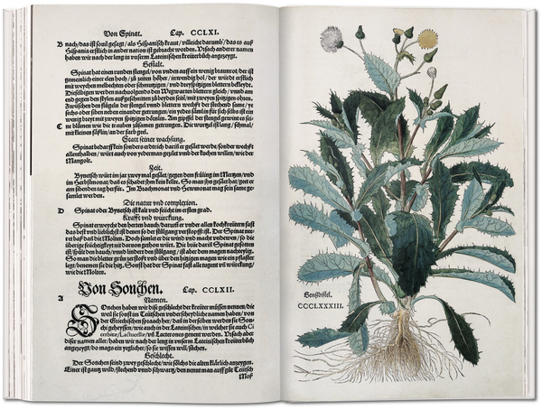 Бумажная книга «Leonhart Fuchs: The New Herbal of 1543», автор Вернер Дрессендорфен - фото №1