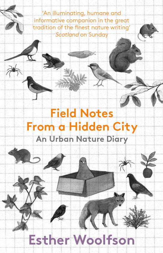Бумажная книга «Field Notes From a Hidden City: An Urban Nature Diary», автор Эстер Вулфсон - фото №1