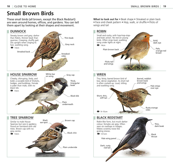 Паперова книга «RSPB What's that Bird? The Simplest ID Guide Ever» - фото №1