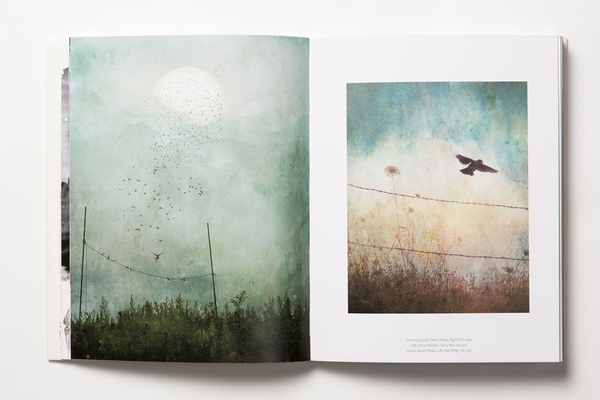 Бумажная книга «The Book of the Bird», авторов Кендра Уилсон, Ангус Хайленд - фото №1