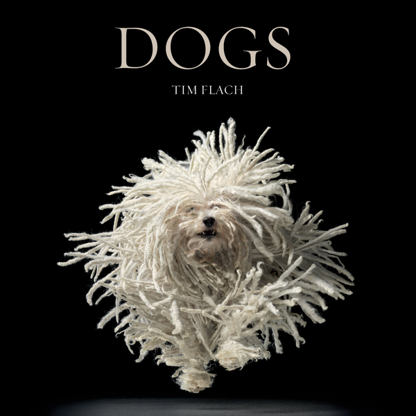Бумажная книга «Dogs» - фото №1
