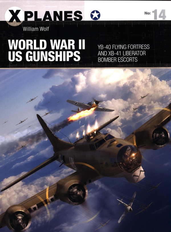 [object Object] «World War II US Gunships. YB-40 Flying Fortress and XB-41 Liberator Bomber Escorts», автор Уильям Вольф - фото №1