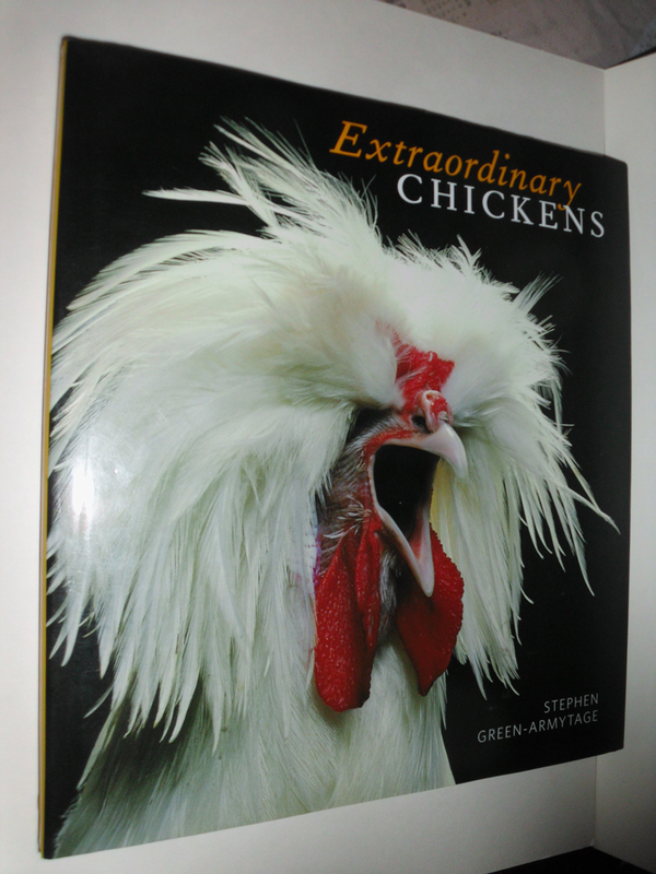 Паперова книга «Extraordinary Chickens 2018 Wall Calendar» - фото №1