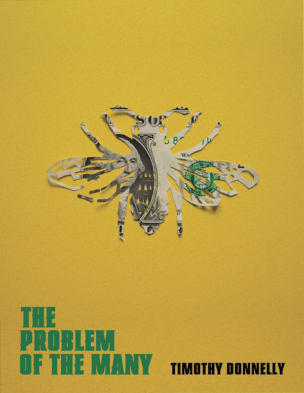 Бумажная книга «The Problem of the Many», автор Тимоти Доннелли - фото №1