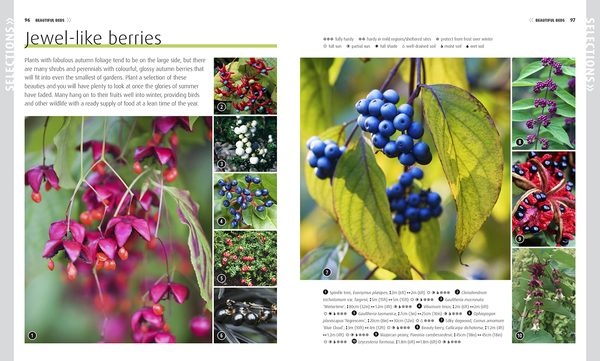 Паперова книга «RHS How to Grow Practically Everything. Gardening Projects Anyone Can Do», авторів Зія Алауей, Лія Леендертц - фото №1