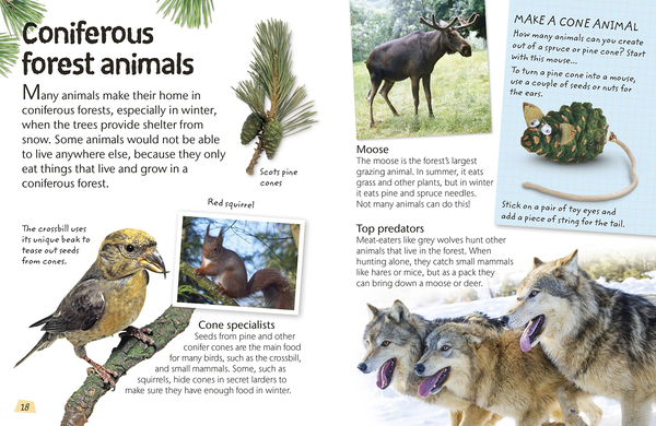Паперова книга «Woodland and Forest. Explore Nature with Fun Facts and Activities » - фото №1