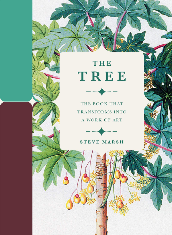 Паперова книга «The Tree : The Book that Transforms into a Work of Art», автор Стів Марш - фото №1