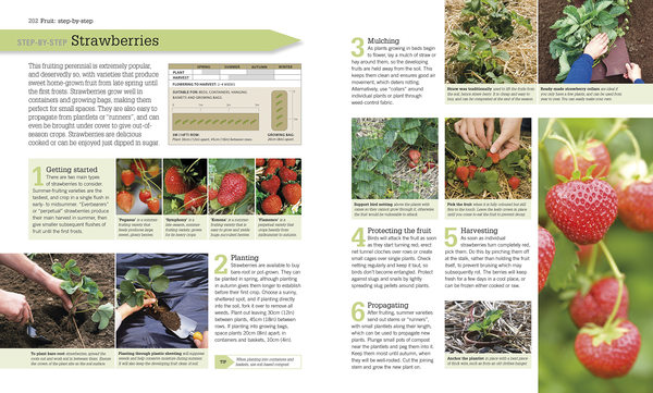 Бумажная книга «RHS Step-by-Step Veg Patch», автор Люси Халсолл - фото №1