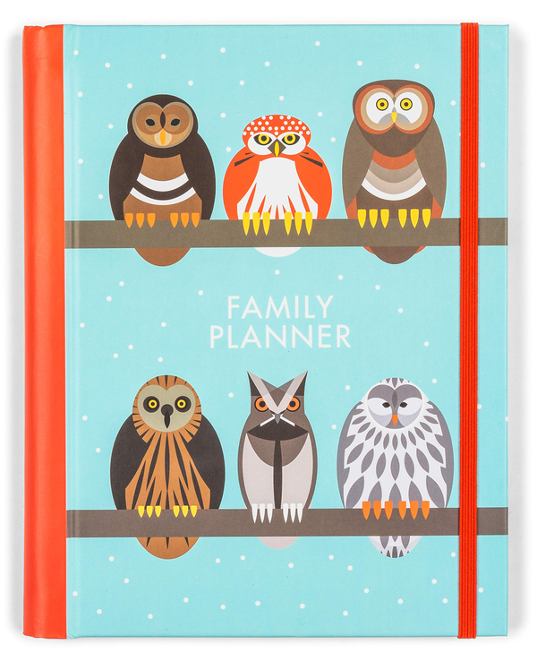 Бумажная книга «I Like Birds: A Parliament of Owls Family Planner» - фото №1