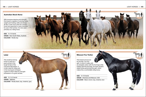Бумажная книга «Horses. Facts at Your Fingertips» - фото №1