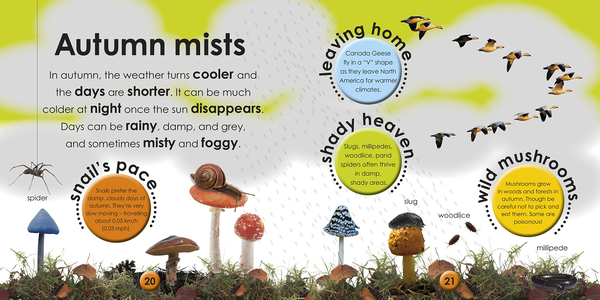 Бумажная книга «First Facts Seasons. Start a Lifetime of Learning» - фото №1