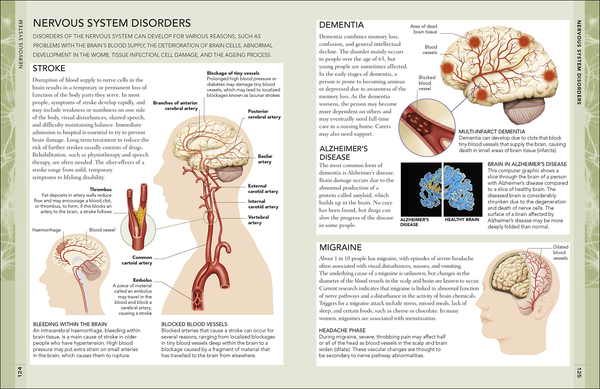 Бумажная книга «The Concise Human Body Book. An illustrated guide to its structure, function and disorders» - фото №1