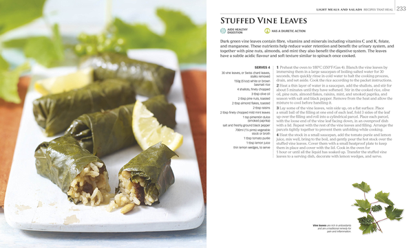 Паперова книга «Neal's Yard Remedies Healing Foods. Eat Your Way to a Healthier Life» - фото №1
