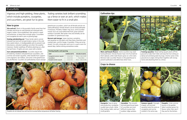 Бумажная книга «RHS The Big Box for Small Gardens» - фото №1