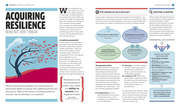 Бумажная книга «Stress The Psychology of Managing Pressure. Practical Strategies to turn Pressure into Positive Energy» - фото №1