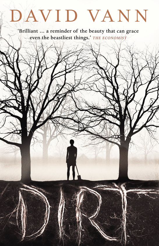 Бумажная книга «Dirt», автор Дэвид Ванн - фото №1