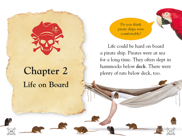 Бумажная книга «Pirate Attack! Come Aboard a Pirate Ship!», автор Дебора Лок - фото №1