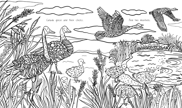 [object Object] «Kew A Year in the Garden Colouring Book» - фото №4 - миниатюра