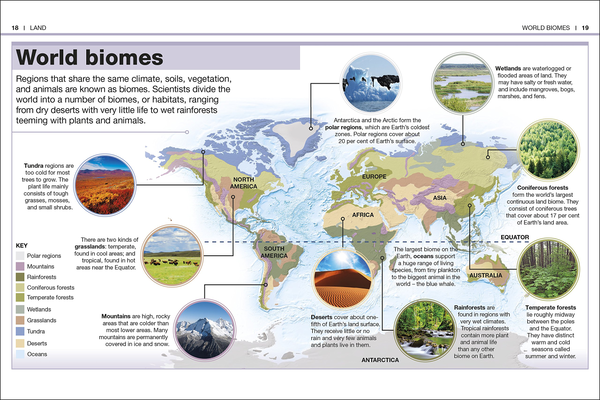 Бумажная книга «Pocket Eyewitness Earth. Facts at Your Fingertips» - фото №1