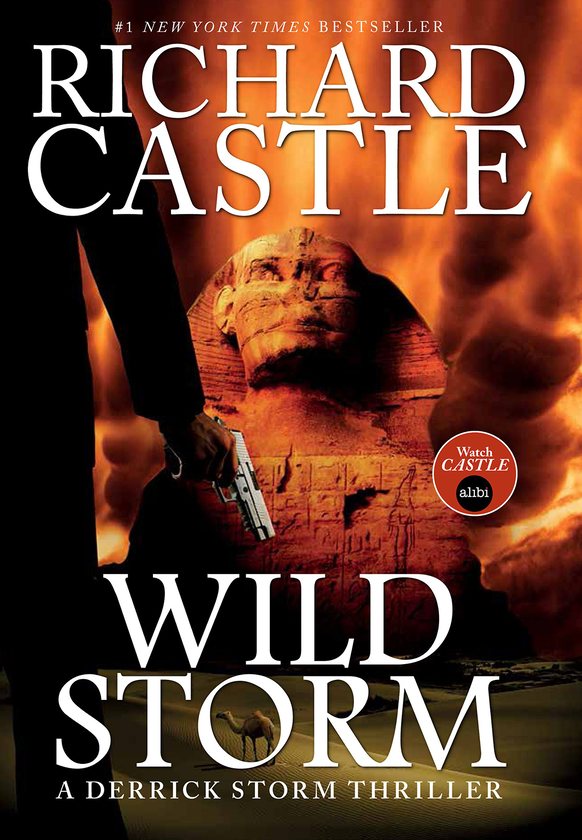 Бумажная книга «Wild Storm (Castle)», автор Ричард Касл - фото №1