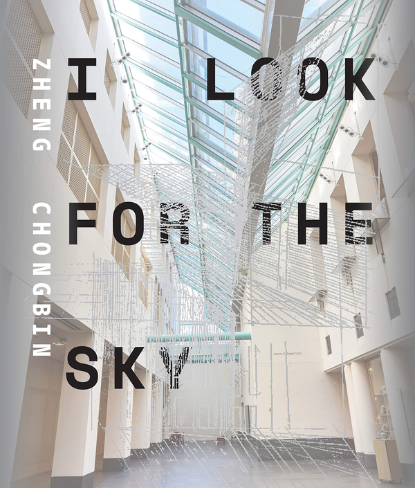 Паперова книга «Zheng Chongbin I Look For The Sky», авторів Еббі Чен, Майя Ковсакая - фото №1