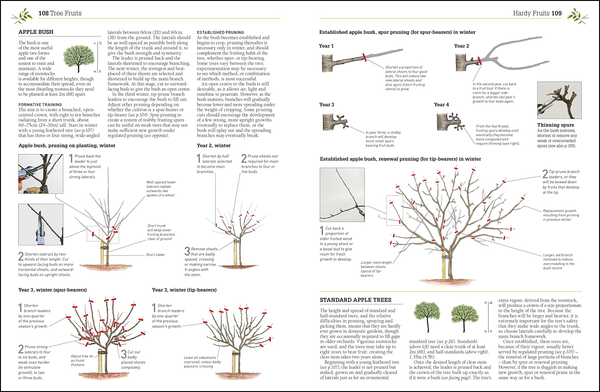 Бумажная книга «RHS Pruning & Training. Revised New Edition; Over 800 Plants; What, When, and How to Prune», авторов Кристофер Брикелл, Дэвид Джойс - фото №1