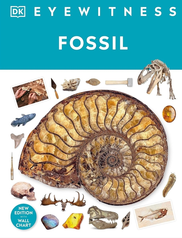 [object Object] «Fossil» - фото №1