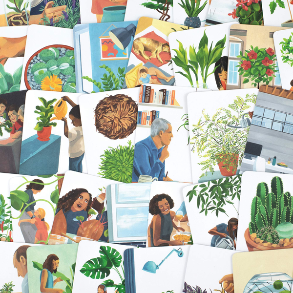 Паперова книга «Plantfulness. How to Change Your Life with Plants» - фото №1