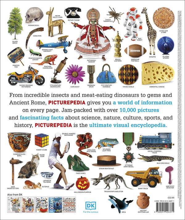 Бумажная книга «Picturepedia. An encyclopedia on every page» - фото №1