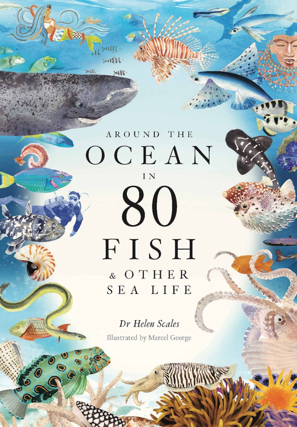 Бумажная книга «Around the Ocean in 80 Fish and other Sea Life», автор Хелен Скейлс - фото №1