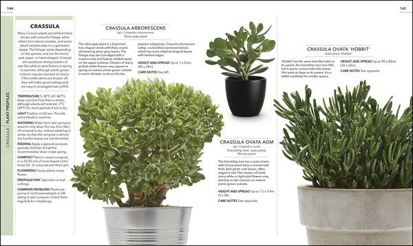Паперова книга «RHS Practical Cactus and Succulent Book. How to Choose, Nurture, and Display more than 200 Cacti and Succulents» - фото №1